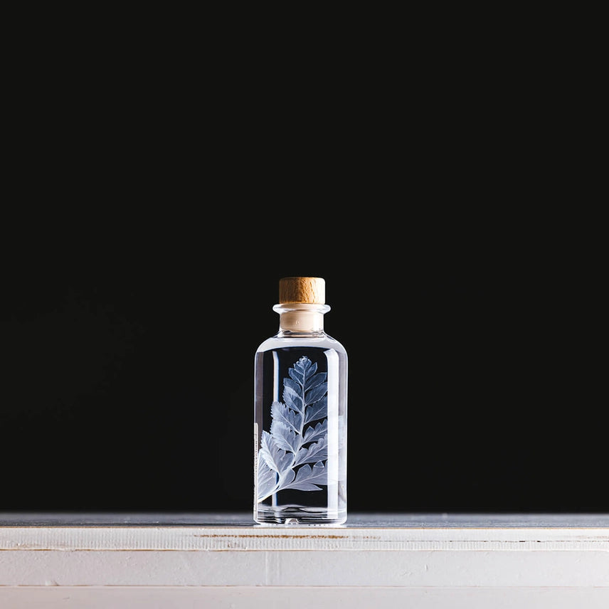 Fougère cuir blanche – Plante immergée