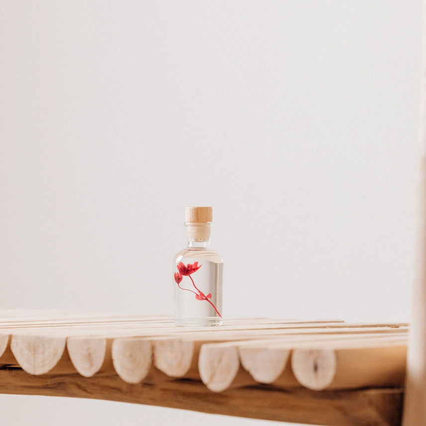 Astrance rouge grenat – Fleur immergée