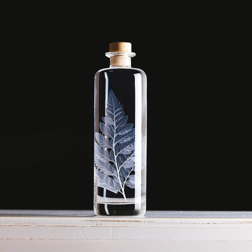 Fougère cuir blanche – Plante immergée