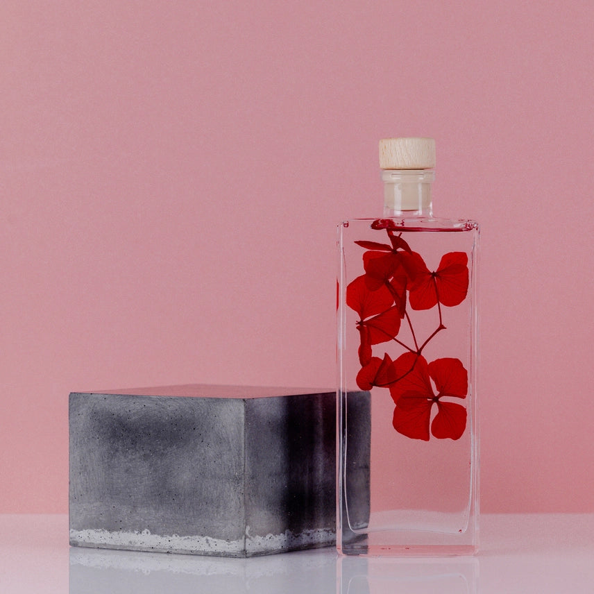Hortensia Rouge passion – Fleur immergée