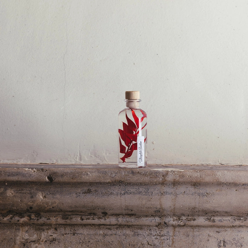Ruscus rouge – Plante immergée