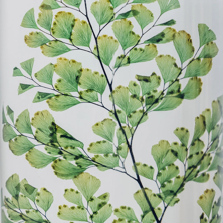 Fougère Luthi verte – Plante immergée