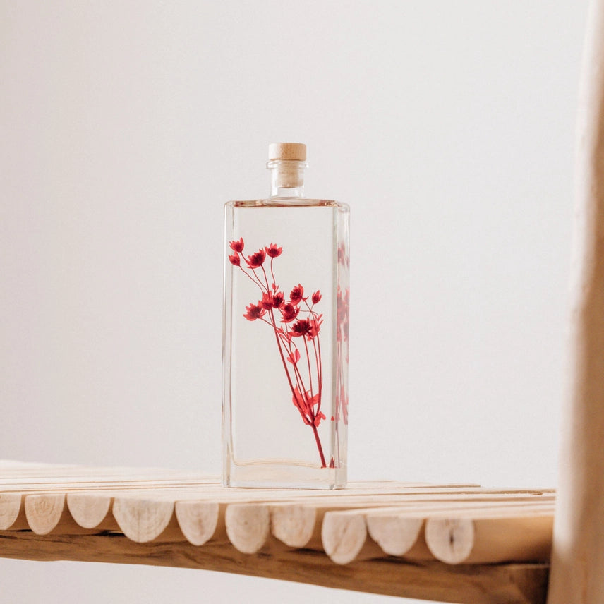 Astrance rouge grenat – Fleur immergée
