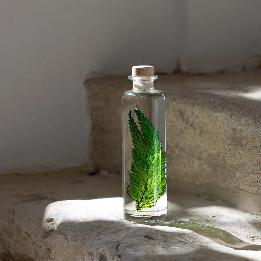 Fougère Colombienne – Plante immergée