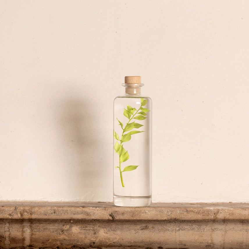 Ruscus vert acidulé – Plante immergée