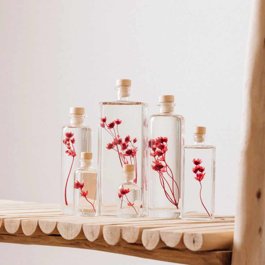 Astrance rouge grenat – Fleur immergée