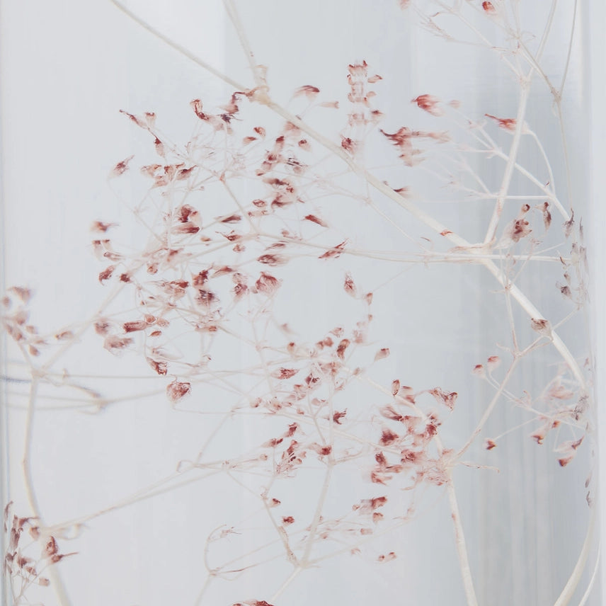 Gypsophile rose – Plante immergée
