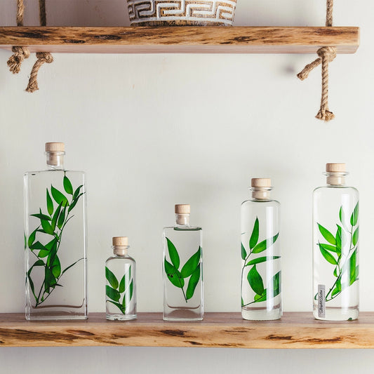 Ruscus vert – Plante immergée