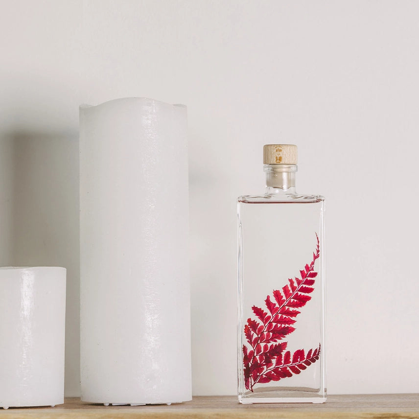 Rumohra rouge – Plante immergée