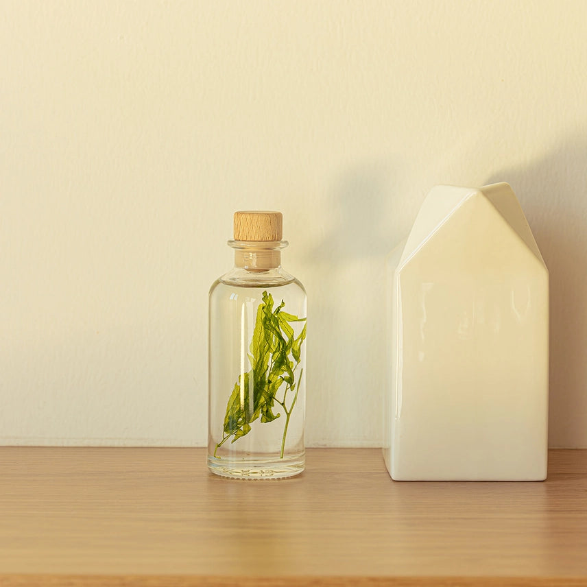 Algue aquatique – Plante immergée