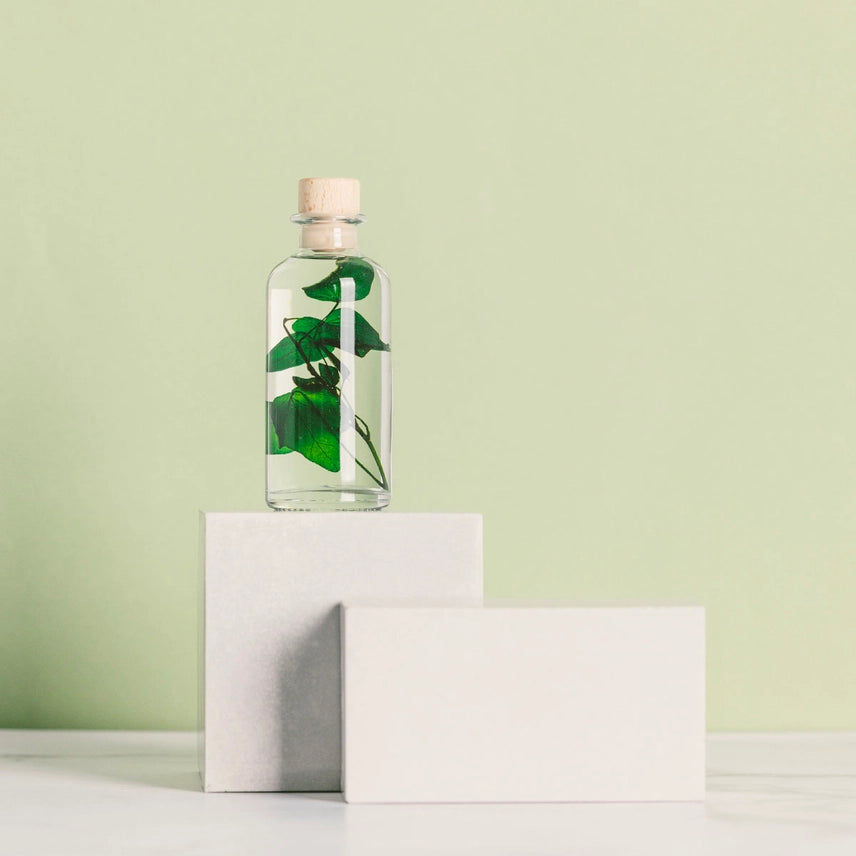 Lierre Hélix - Plante Immergée