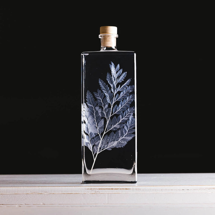 Fougère cuir blanche – Plante immergée