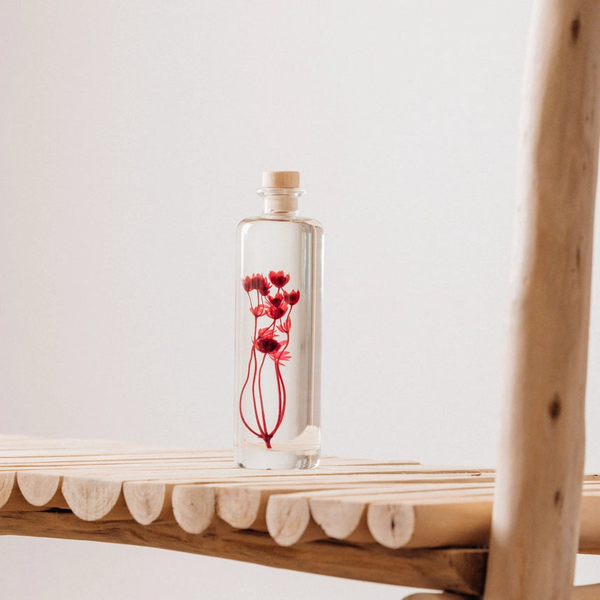 Astrance rouge grenat – Fleur immergée