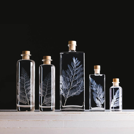 Fougère cuir blanche – Plante immergée