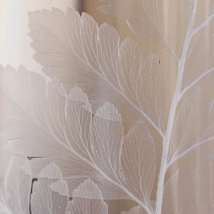 Fougère cuir blanche – Plante immergée