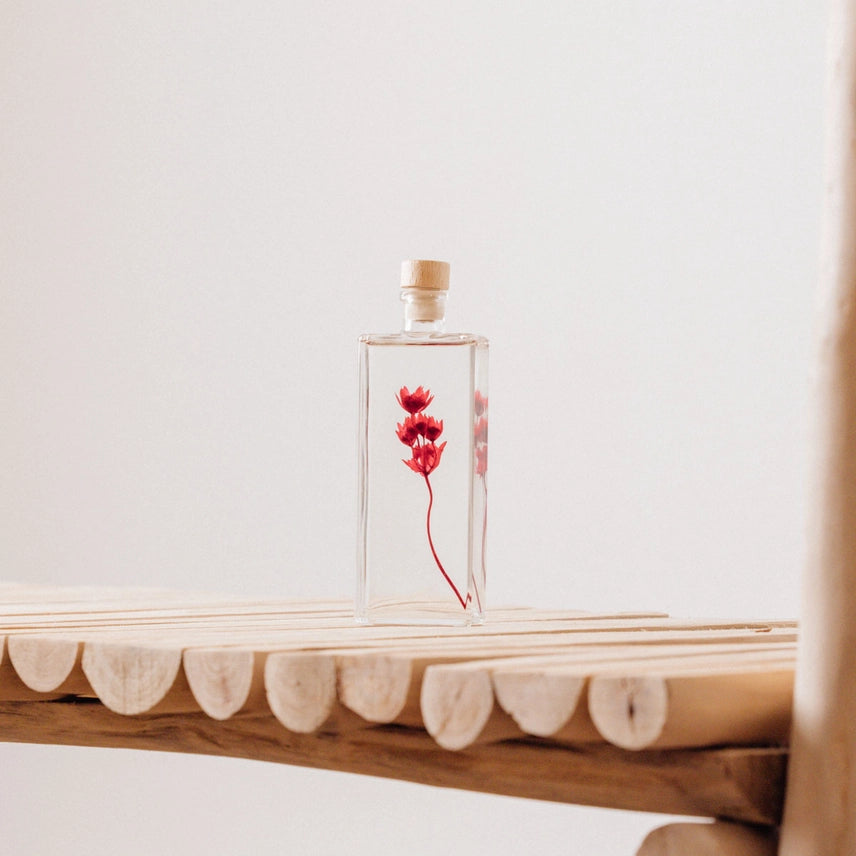 Astrance rouge grenat – Fleur immergée