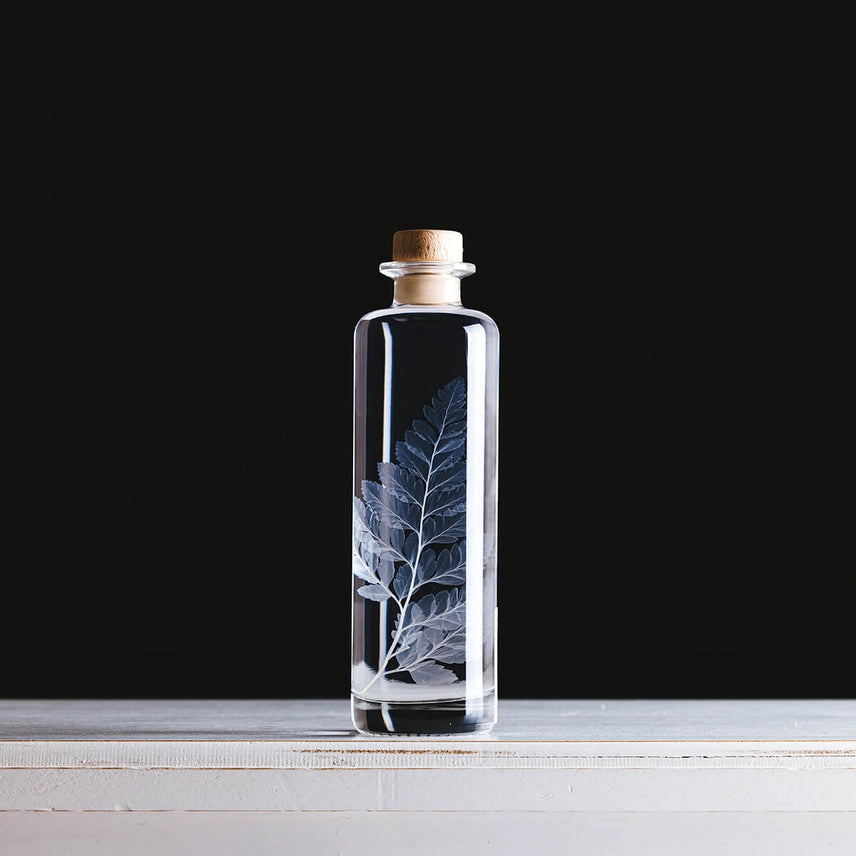Fougère cuir blanche – Plante immergée