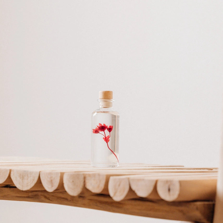 Astrance rouge grenat – Fleur immergée