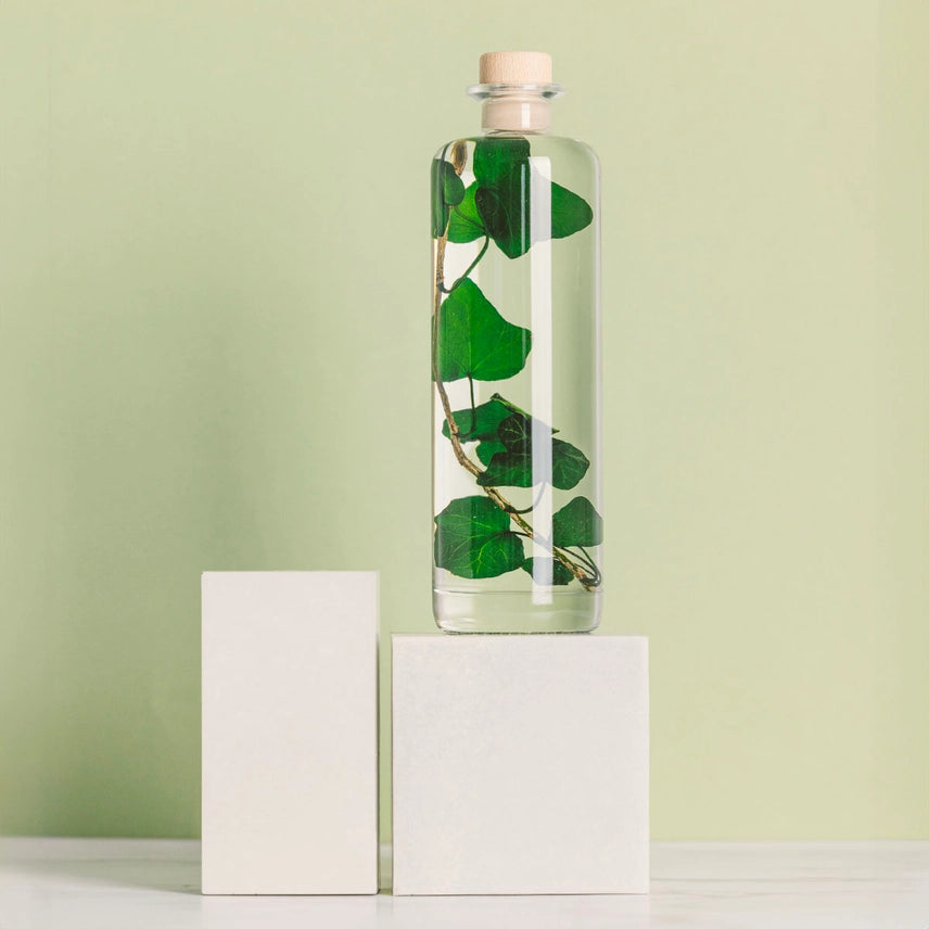 Lierre Hélix - Plante Immergée