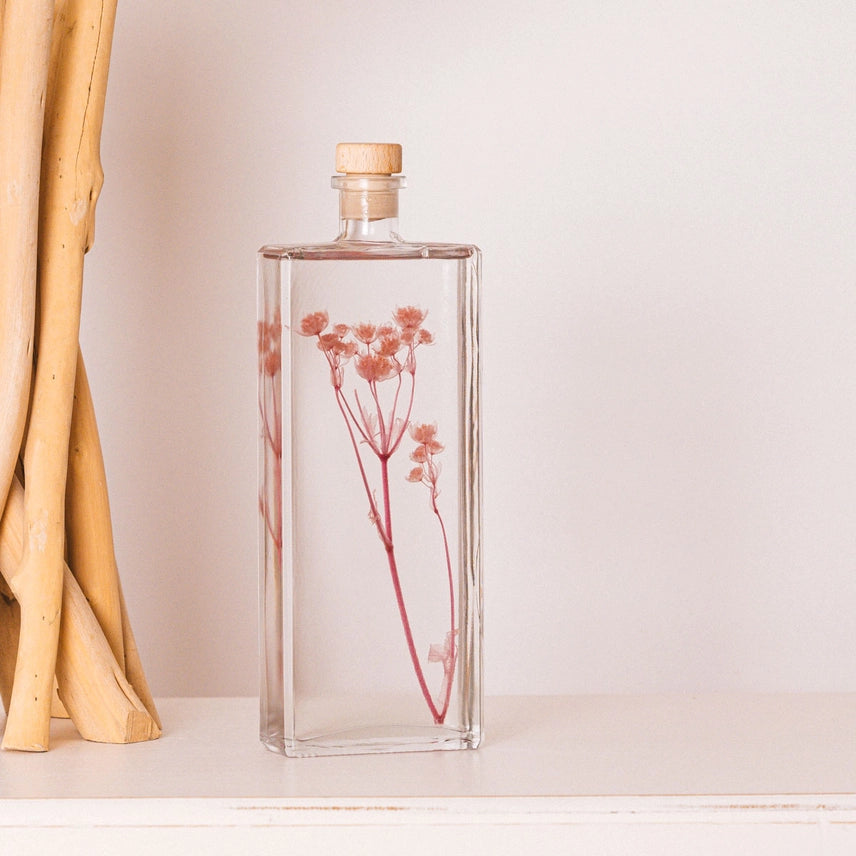 Astrance Rose - Fleur Immergée