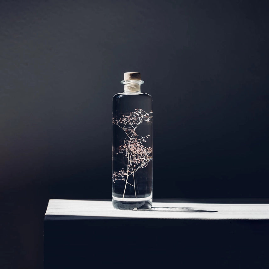 Gypsophile rose – Plante immergée