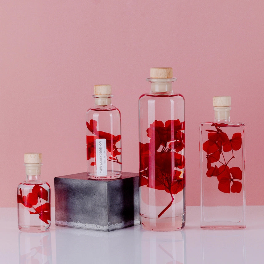 Hortensia Rouge passion – Fleur immergée