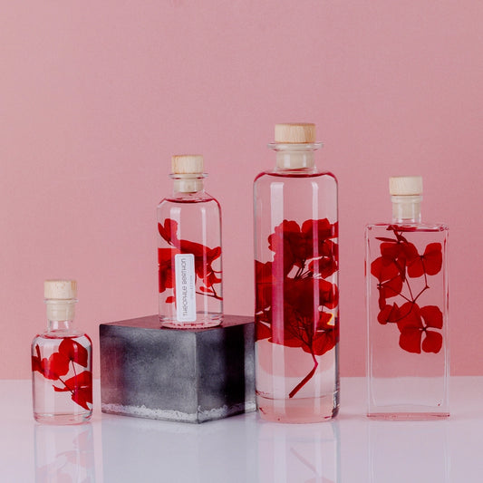 Hortensia Rouge passion – Fleur immergée