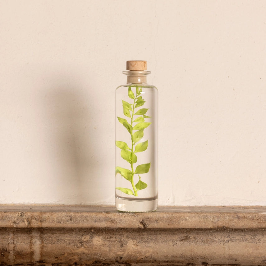 Ruscus vert acidulé – Plante immergée