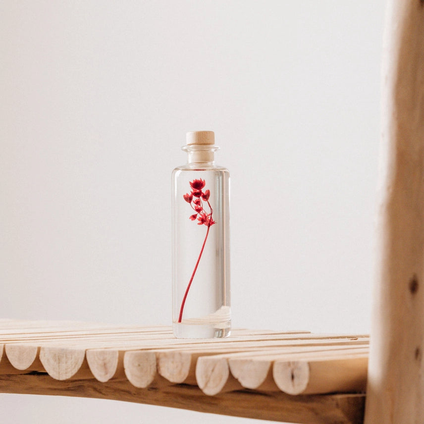 Astrance rouge grenat – Fleur immergée
