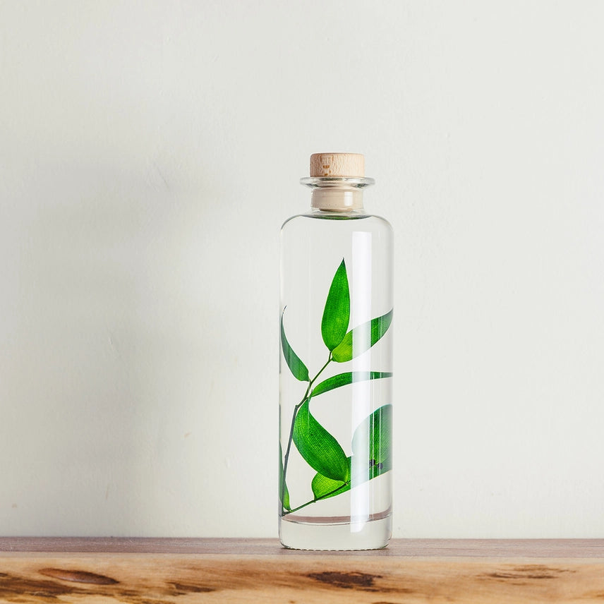 Ruscus vert – Plante immergée
