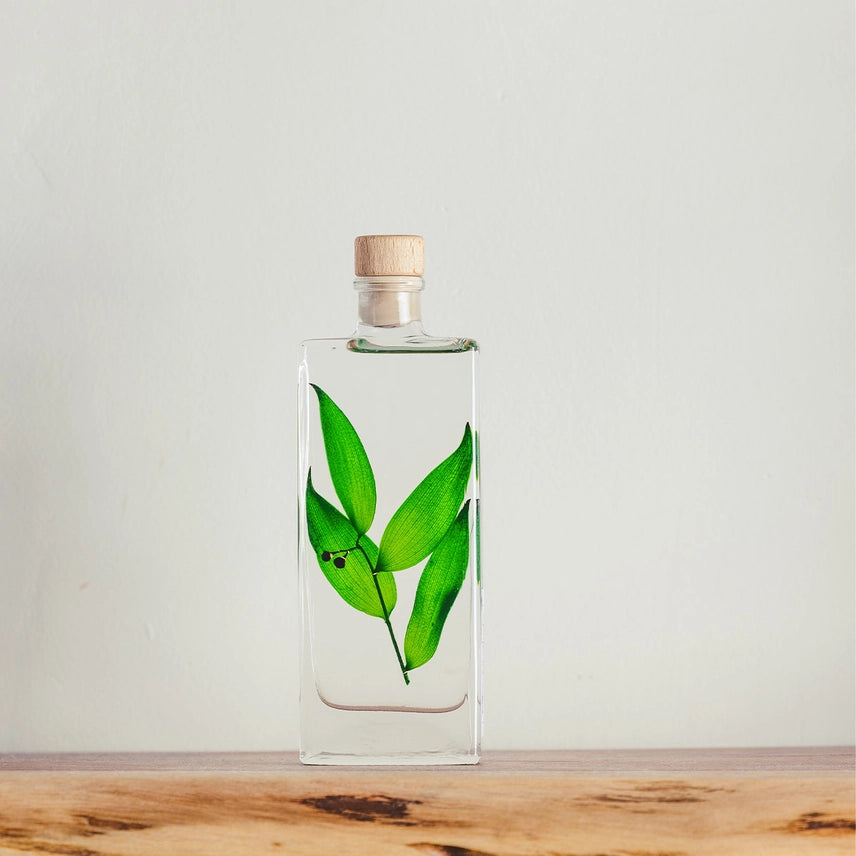 Ruscus vert – Plante immergée