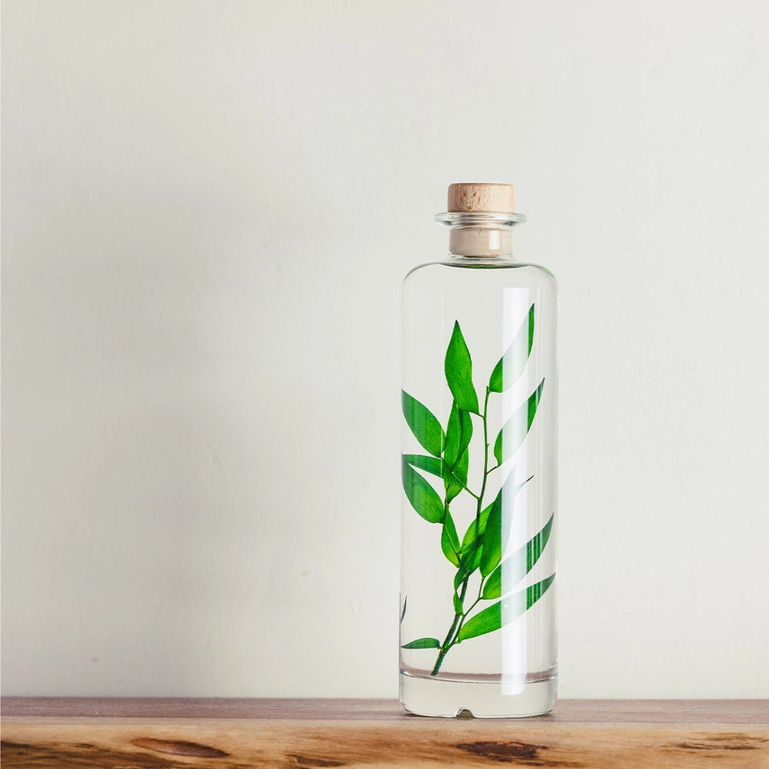 Ruscus vert – Plante immergée