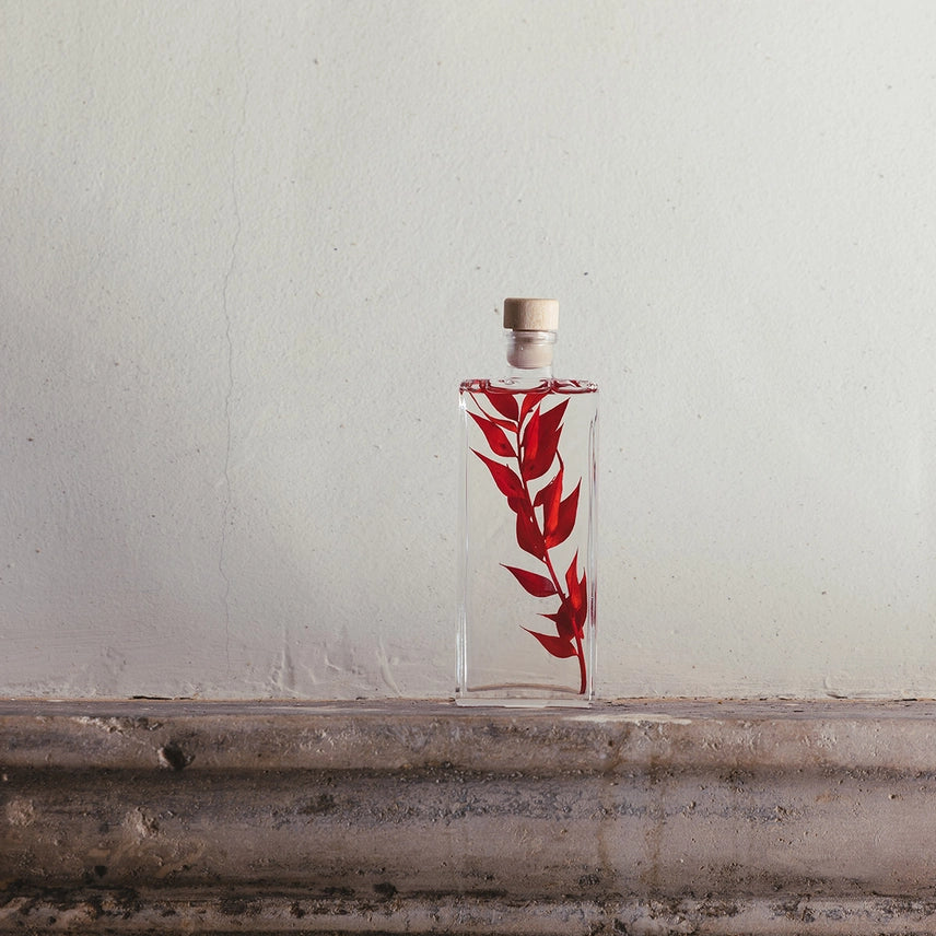 Ruscus rouge – Plante immergée