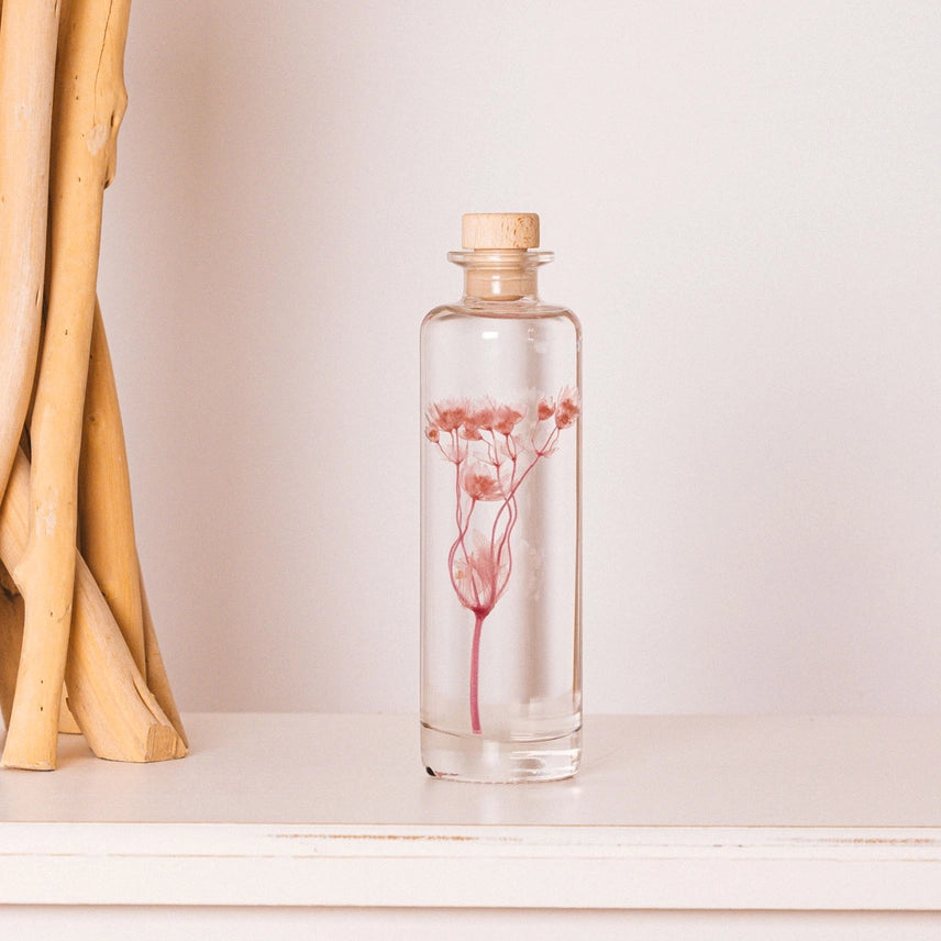 Astrance Rose - Fleur Immergée