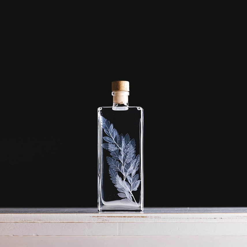 Fougère cuir blanche – Plante immergée